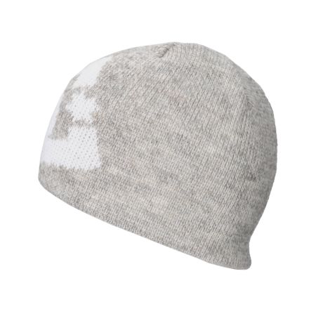 DC Shoes Wane Grey Beanie