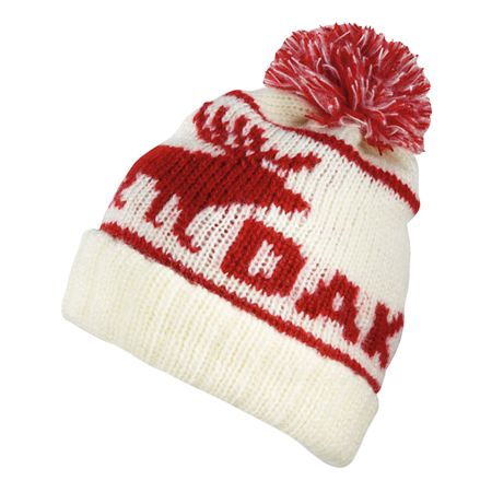 Dakine Name Drop White Beanie