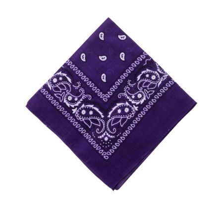 Basic Purple Bandana