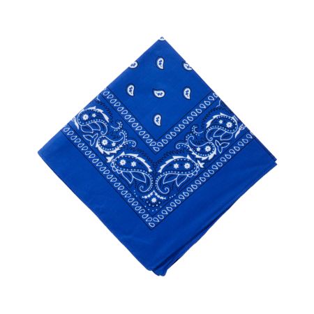 Basic Blue Bandana