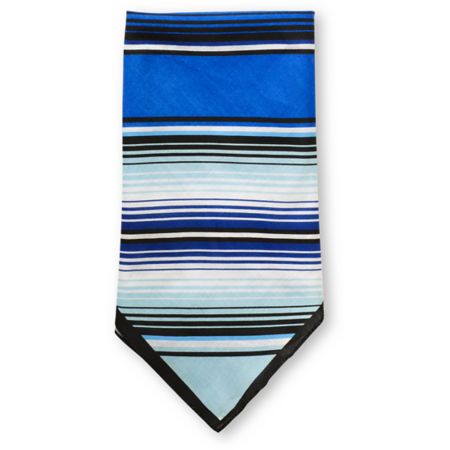 Empyre Jefferson Blue Bandana