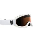 Snow Goggles