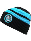 Cuff Beanies