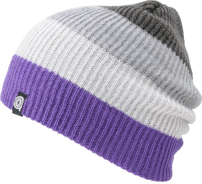 Aperture Juan Grey & Purple Beanie