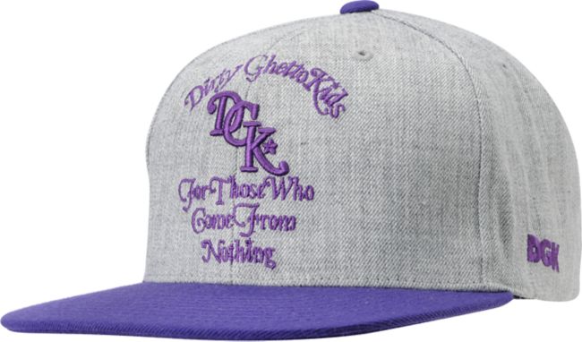 DGK From Nothing Heather Grey & Purple Snapback Hat