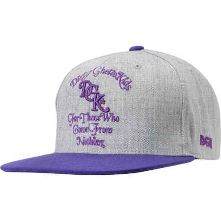 DGK From Nothing Heather Grey & Purple Snapback Hat
