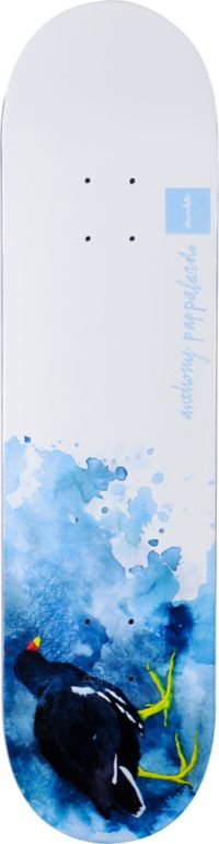 Chocolate Pappalardo Bird Watercolor 8.0" Skateboard Deck