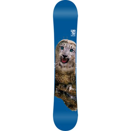 DC PBJ 157 Snowboard 2013