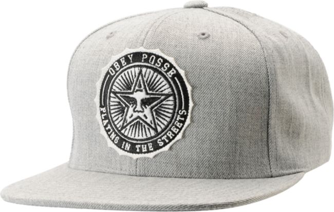 Obey Pro Bowl Heather Grey Snapback Hat