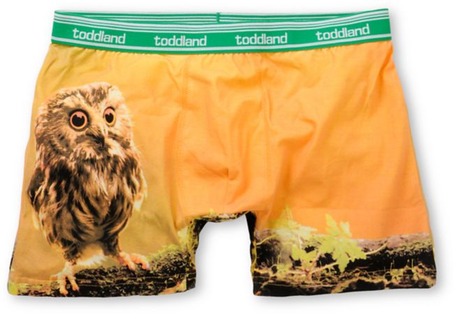 Toddland Owl Der Pants Boxer Briefs