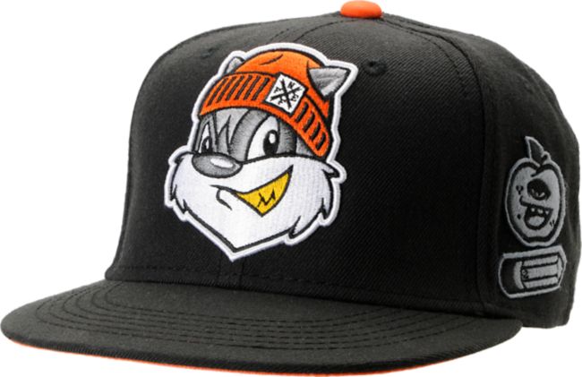Neff JV Black Snapback Hat