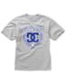 DC Boys Shield Heather Grey Tee Shirt