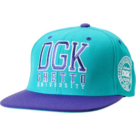 DGK Head Of Class Turquoise & Purple Snapback Hat