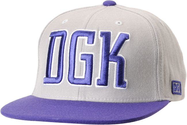 DGK Freshman Grey & Purple Snapback Hat