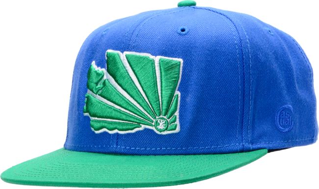 Casual Industrees WA Brah Green & Blue Snapback Hat