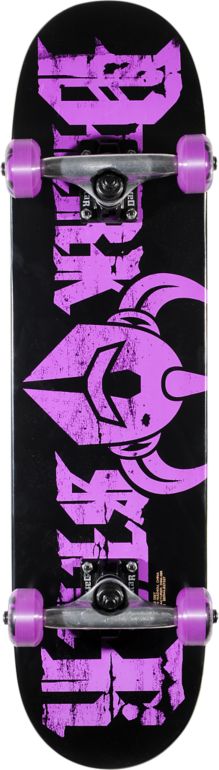 Darkstar Ruin Youth Mid 7.3 Complete Skateboard