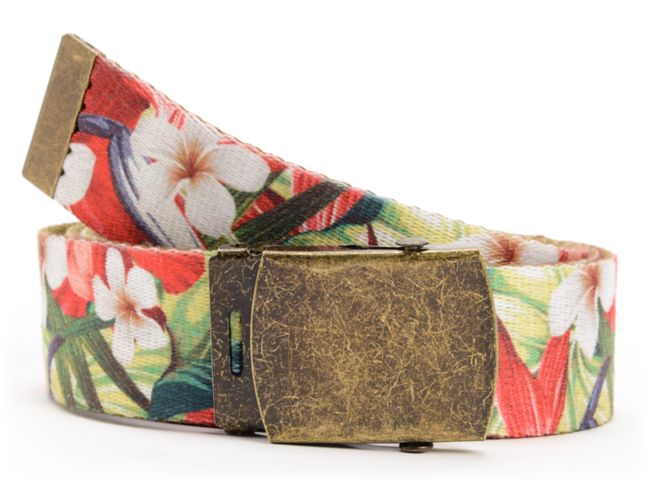 Empyre Hawaisted Red Web Belt