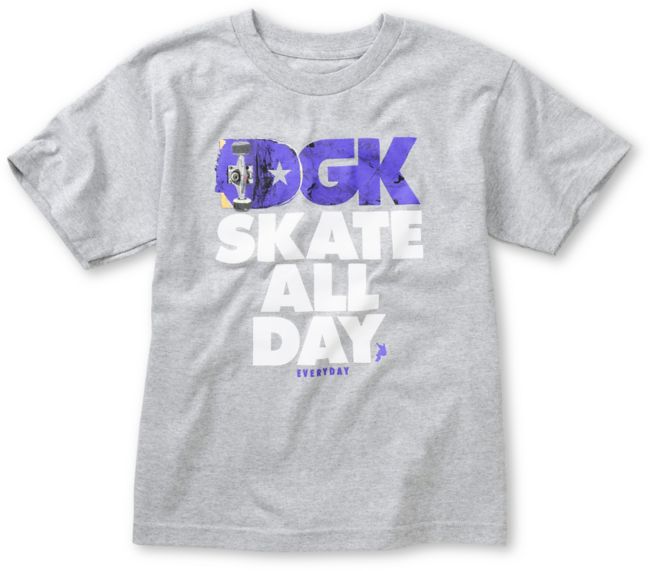 DGK Boys Skate All Day Grey Tee Shirt