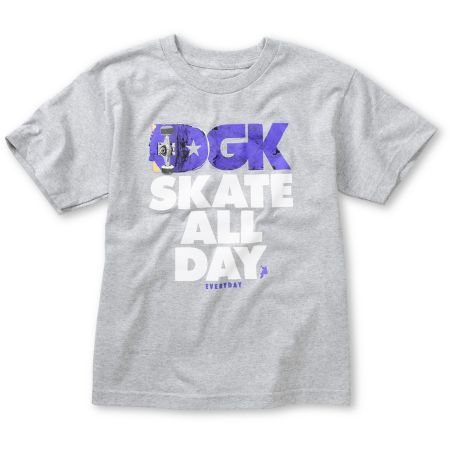 DGK Boys Skate All Day Grey Tee Shirt