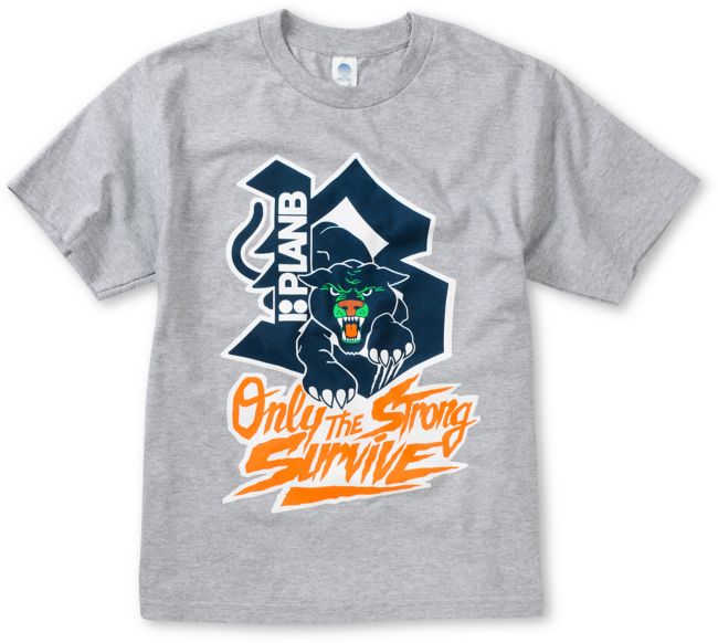 Plan B Boys Panther Grey Tee Shirt