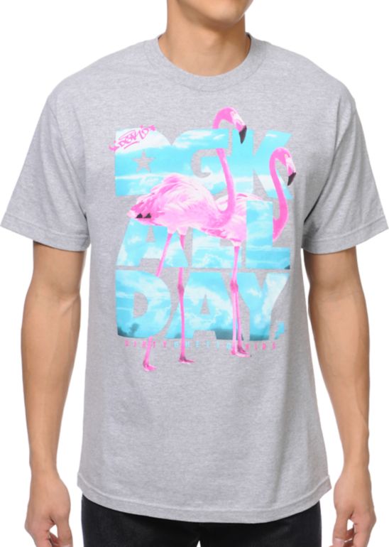 DGK Birds All Day Grey Tee Shirt