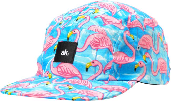Akomplice Flamingo Pink & Blue 5-Panel Hat