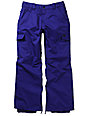 mens snowboard pants purple