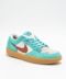 Nike SB Force 58&nbsp; in Teal, Gum