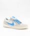 Nike SB Force 58 in White, Blue