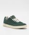 etnies Snake in Green, White