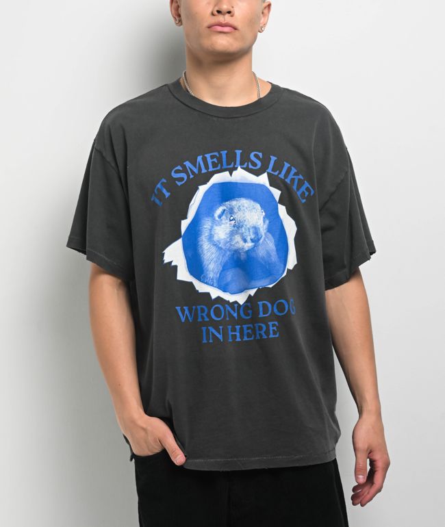 Ninth Hall Fundamentals Lilypad Oversized T-Shirt | Zumiez