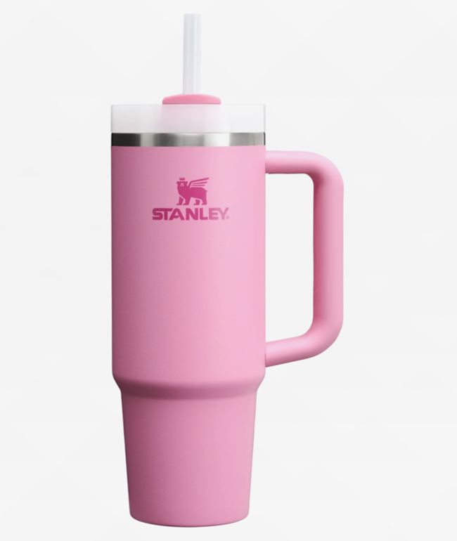 Pusheen Cinnamon Roll Plush Toy