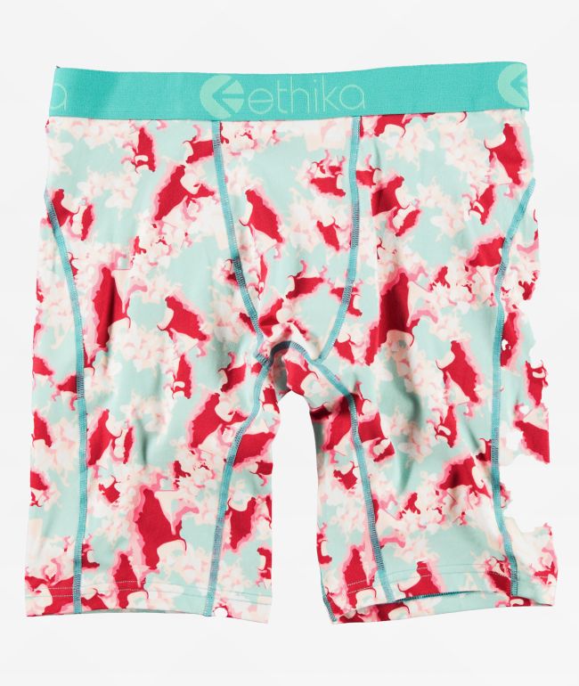 Ethika In Bloom Boxer Briefs - Ethika