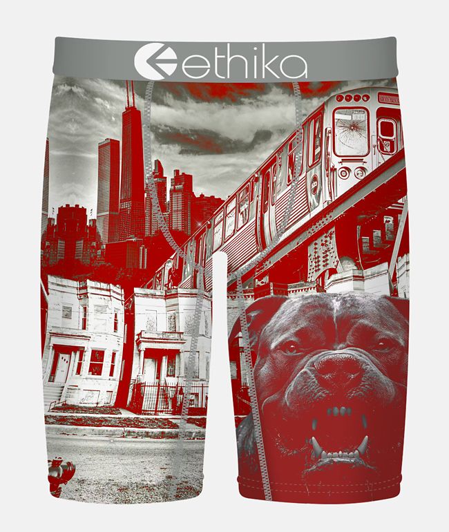 Ethika Off The Porch Boxer Briefs - Ethika