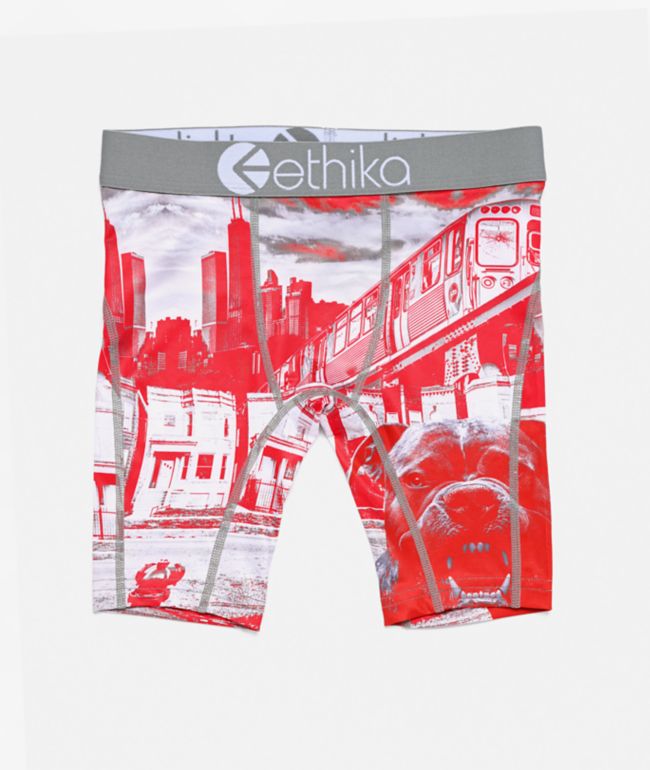 Ethika Kids Off The Porch Boxer Briefs - Ethika