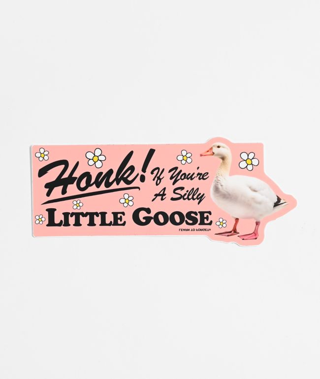 Learn To Forget Silly Goose Bumper Sticker - LTF