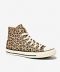 Converse Chuck Taylor All Star High Top in Leopard