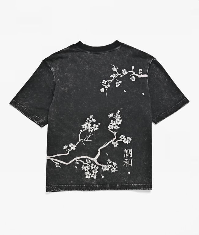 DGK Kids Eternity Black Wash T-Shirt - DGK