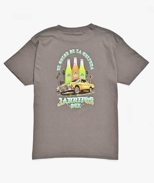 DGK x Jarritos Kid's In Motion Grey T-Shirt - DGK
