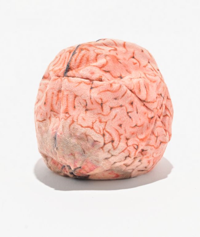 Adventure Imports Brain 8-Panel Hacky Sack - Adventure Imports