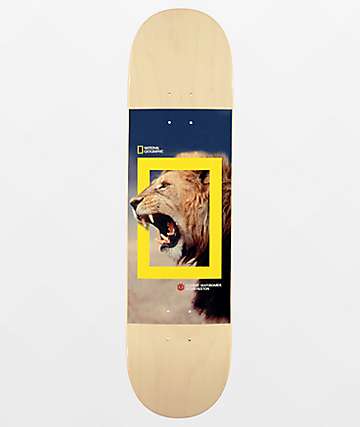 Element x National Geographic Nyjah Lion 8.0" Skateboard Deck