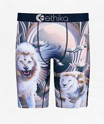 Ethika Mens MID Boxer Brief  BMR Reloaded, Bmr Reloaded, Small :  : Clothing, Shoes & Accessories