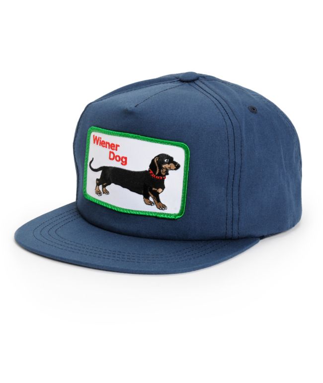 wiener dog hat