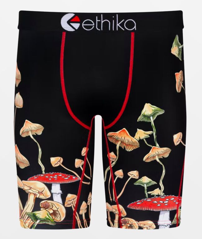 Ethika Dreamscapes Boxer Briefs