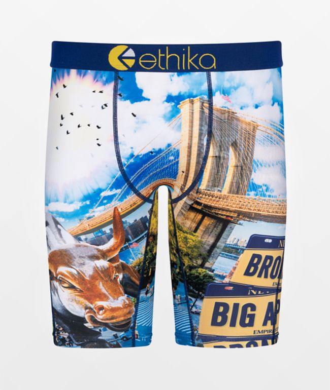 Ethika Kids NY Trip Boxer Briefs