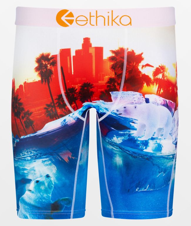 Ethika Polar World Boxer Briefs