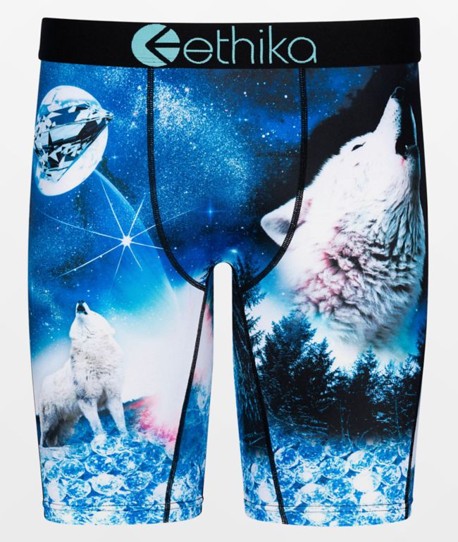 dog boxer briefs