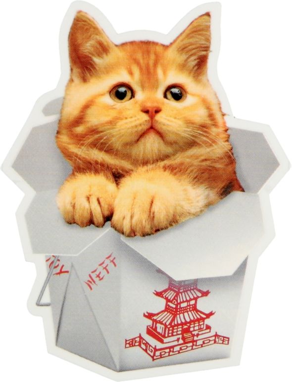 Neff Kitten Sticker Zumiez Our bumper sticker maker lets you choose from hundreds of templates create personalized bumper stickers with the help of vistaprint! neff kitten sticker