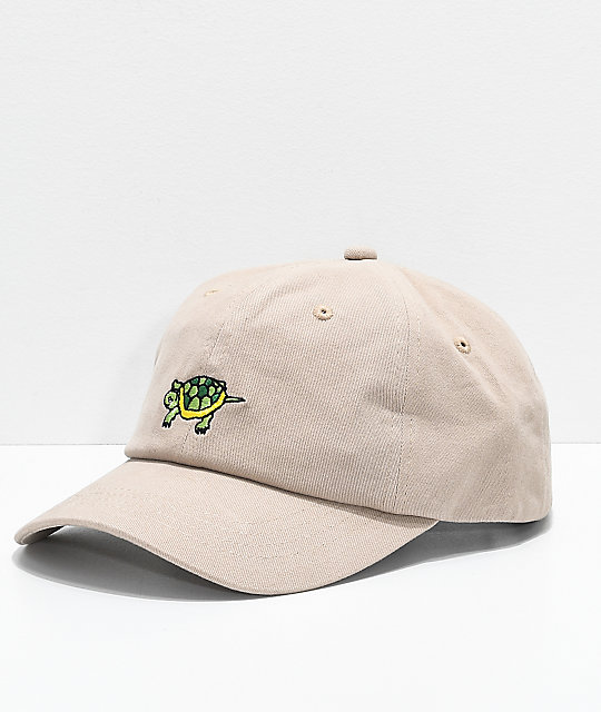 turtle baseball cap