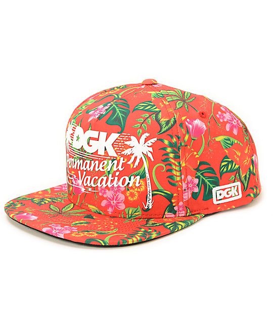 DGK Permanent Vacation Snapback Hat | Zumiez